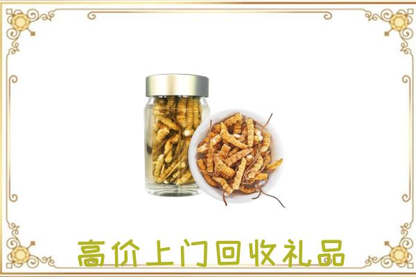 德州周边回收虫草